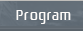 program